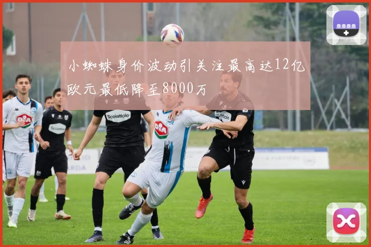 小蜘蛛身价波动引关注最高达12亿欧元最低降至8000万