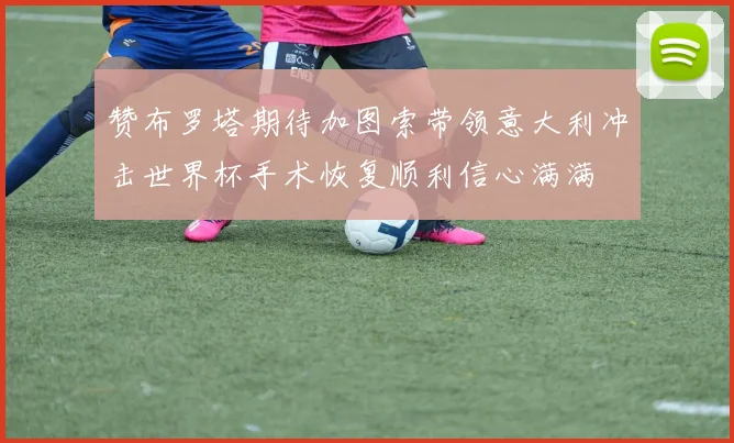 赞布罗塔期待加图索带领意大利冲击世界杯手术恢复顺利信心满满