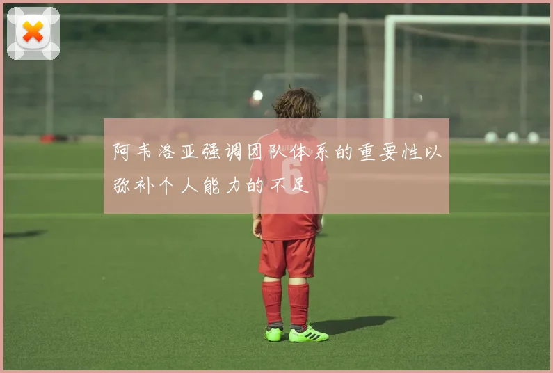 阿韦洛亚强调团队体系的重要性以弥补个人能力的不足